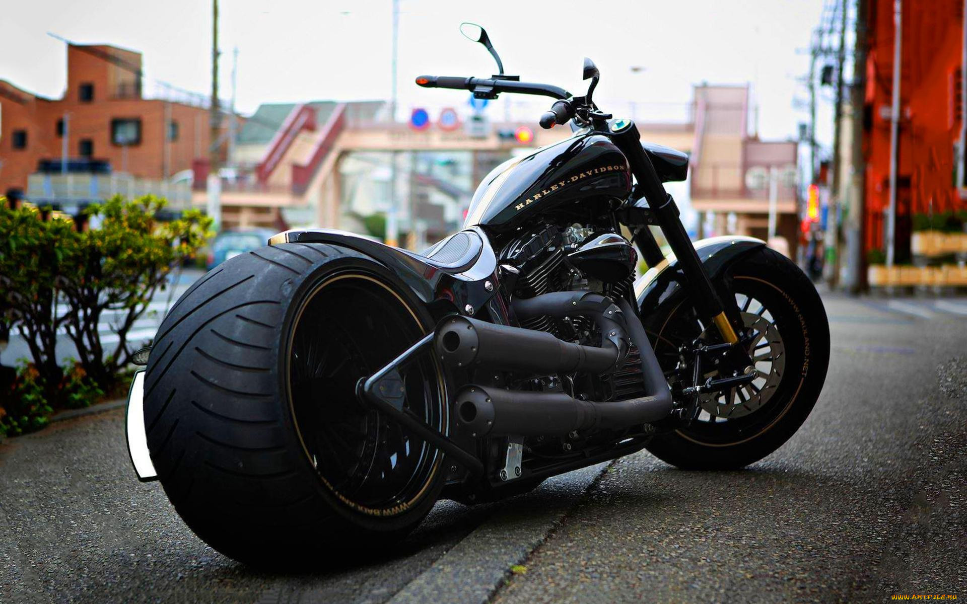 harley, , harley-davidson, , 